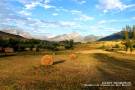 Sendero de alpacas en San Martin