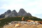Las Tres Marías  MARÍA TEJADA VALLE