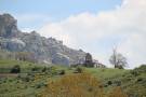 Golapejar de la Tercia