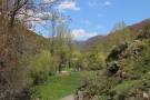 Tonin de Arbas